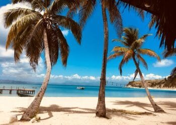 Haïti, le seul pays où fuir devient patriotique