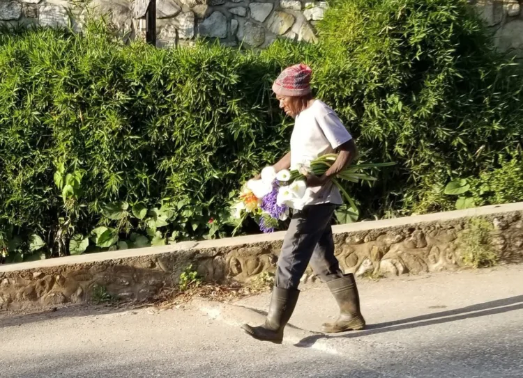 Haïti : « Un pays qui vend encore des fleurs n’est pas tout à fait foutu »
